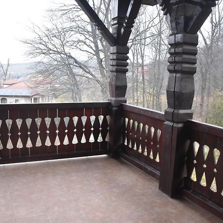 Pensiunea Sasha Barnova Luaran gambar
